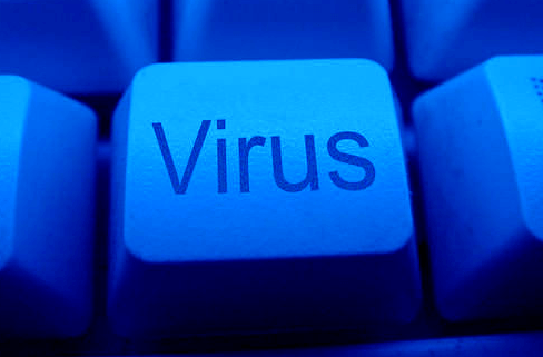 الفيروسات